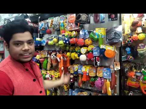 All types of Dog Accessories