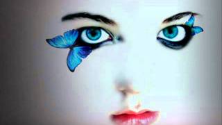 Shawn Desman - Butterflies