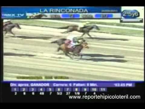 Resumen Domingo 04 de Septiembre de 2011 - La Rinconada