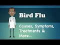 Bird Flu - Causes, Symptoms, Treatments & More…