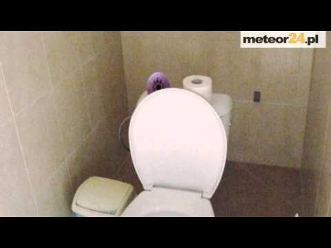 Villa Pati - Rewa meteor24.pl