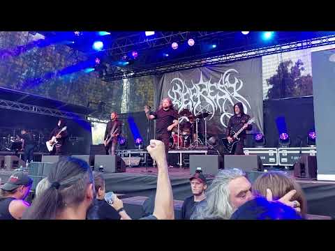 Depresy-Live At Brutal Assault-Josefov-12.8.2022