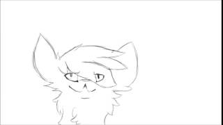 Sup gif