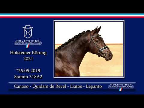 Holsteiner Körlot 2021 | Nr. 06 v. Canoso - Quidam de Revel - Liatos - Lepanto