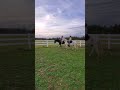 My Students Cheering Each Other On