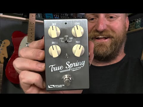 Source Audio True Spring Reverb Free Shipping image 6