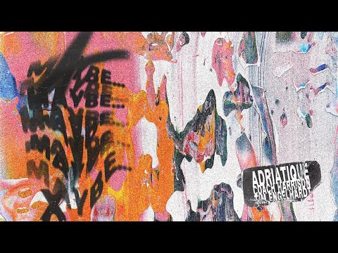 Adriatique, Tim Engelhardt, Coach Harrison - MAYBE (Visualizer)