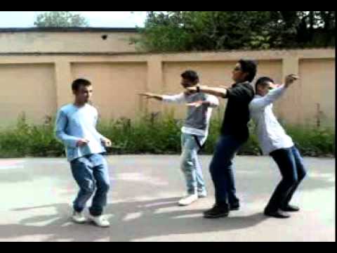 nicolae balcescu nebunie