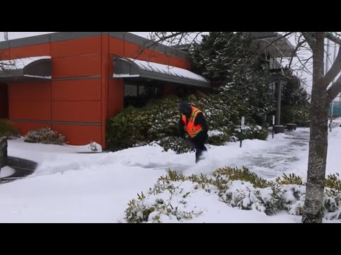 02-13-2021 Bellingham, WA - Winter Storm Warning; Airport Scenes, Slippery roads; Snow Scenes