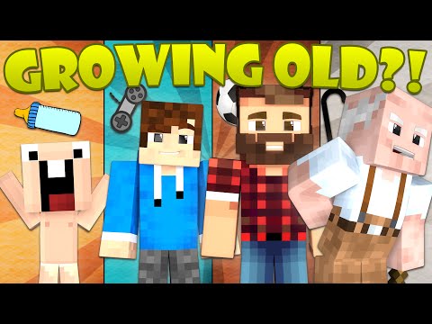 If You Could Age in Minecraft