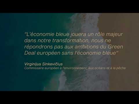 Virginijus Sinkevičius, Commissaire européen, environnement, océans et pêche - MBI2021