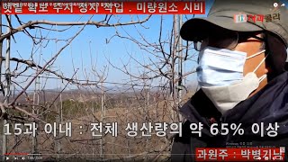[사과재배] 미량원소를 1년에 두번 뿌려서 만족하였는가(의견 들어보니)