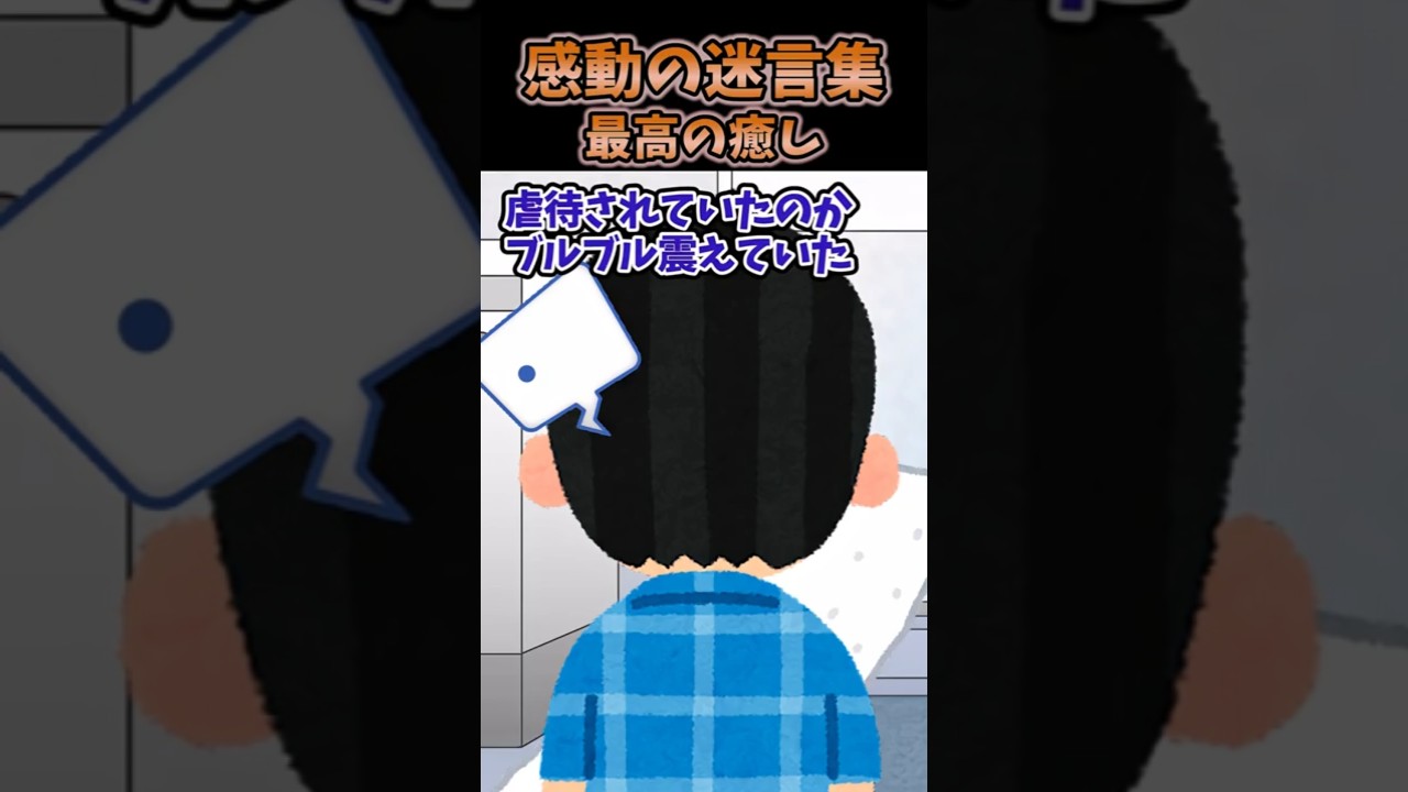 【2chスレ】感動の迷言集〜最高の癒し　#2ch #5ch #2ちゃんねる #ゆっくり解説 #ゆっくり #面白スレ 　　　