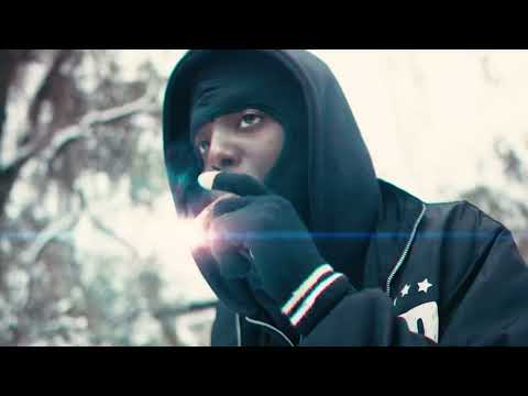 Wildlife Jay - PFK Freestyle