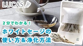 ホワイトセージの使い方&浄化方法 LUCAS ルカス【カリフォルニア産 オーガニック認証取得】