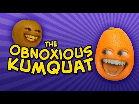 Annoying Orange - THE OBNOXIOUS KUMQUAT (feat. Katie Wilson)
