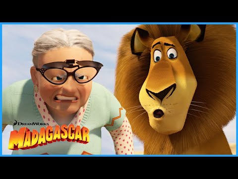 That's One Bad Kitty | DreamWorks Madagascar
