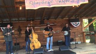 Clinton Gregory Bluegrass Band - "Roving Gambler"
