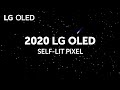 2020 LG OLED Powered By SELF LIT OLED