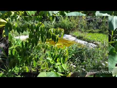 Hortus  felix der glückliche Garten stellt sich vor