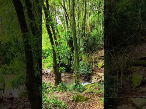 Belezas naturais de Tangará SC