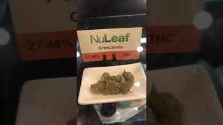 Inside Tour of NuLeaf Cannabis Shop in Las Vegas