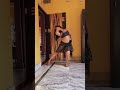 Ang Laga De Aditi Paul Shail Hada Ria Paul Sexy Erotic Bellydance Dance Bollywood Hot Love