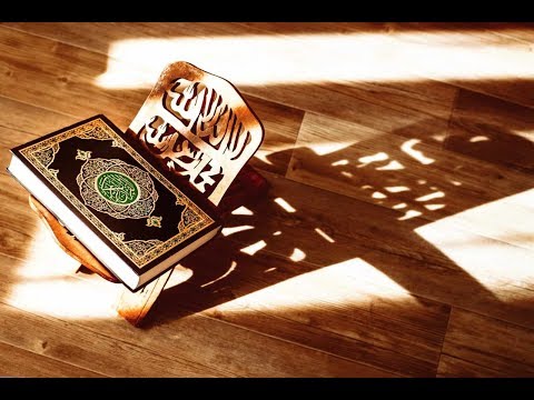 Shndërrimi i  veseve në dobi të njeriut - Padituria -   – Hoxhë Qëndrim Jashari