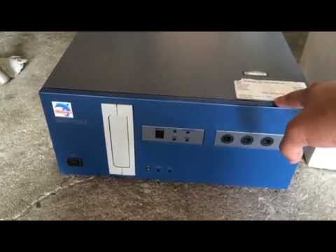 A Wild Nintendo Dolphin Appears!!!