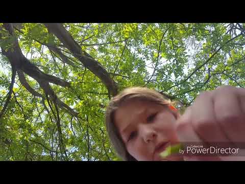 Zo maakten kruidenvrouwtjes kruidendrankjes?!