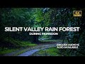 Silent Valley Rain Forest During Monsoon Calm Peaceful Nature In Kerala Vlog 95