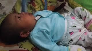 Download lagu Adaband-buah hatiku mp3