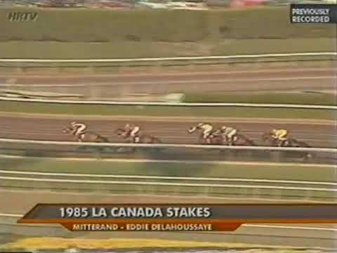 1985 La Canada Stakes Mitterand