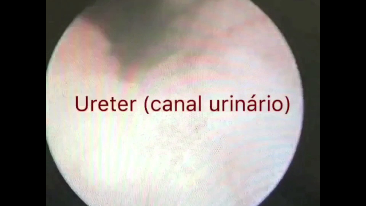 Danilo Galante Moreno-58