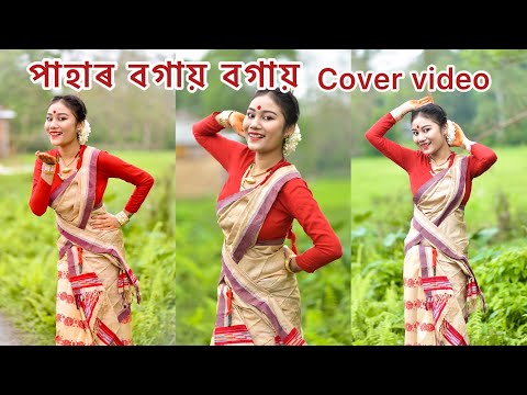 Pahar bogai bogai || cover video || Disha Borah 17 April 2022