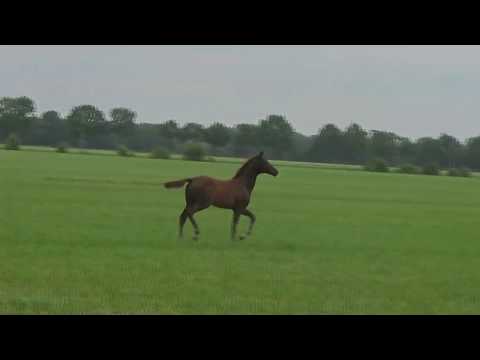 Erdinger - Rubinstein I - Weltrekord