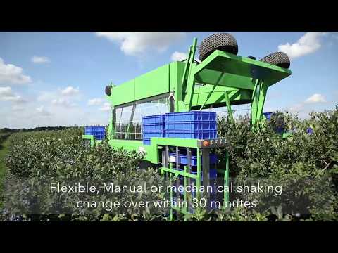 Promotional Video about Blueberry harvester Harvy 500. It is all about 100% quality and 0% loss.