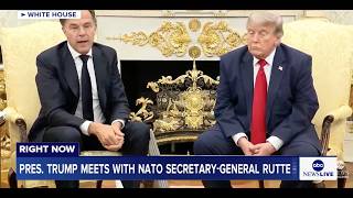 President Trump meets with NATO Secretary-General Rutte at the White House: LIVE