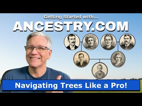 Family Tree Software: Charting Your Ancestry | Vibepedia