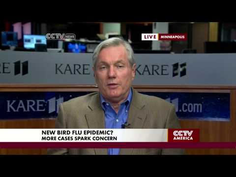 Michael Osterholm on the Bird Flu in China