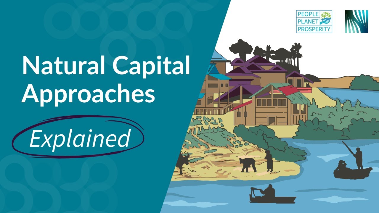 Natural capital approaches explained: overview of assessments and accounting