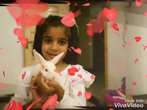 Wareesha's Birthday HD