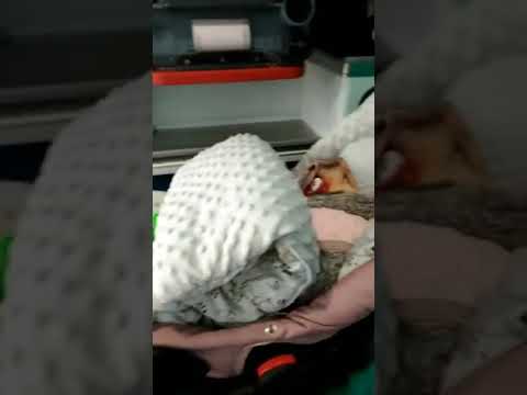 Obrazek poglądowy filmu YouTube