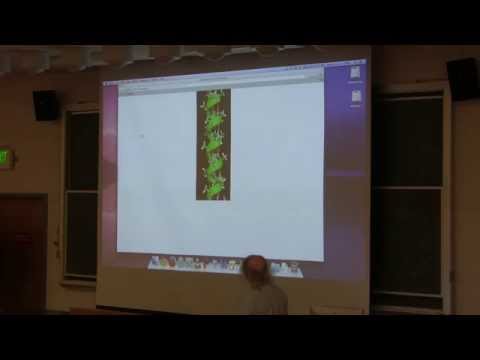 Ahern's BB 350 at OSU - 5. Protein Structure