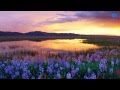 NIKOS IGNATIADIS. (INSPIRATION )-HD. 