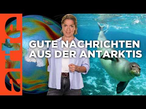 Ozonschicht: die Erde reparieren | Mit offenen Karten - Im Fokus | ARTE