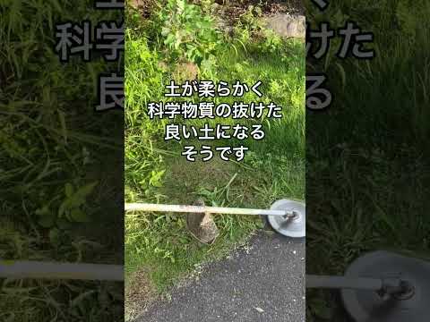 刈った草を木の根元に置く必要がある理由は次のとおりです。  庭園