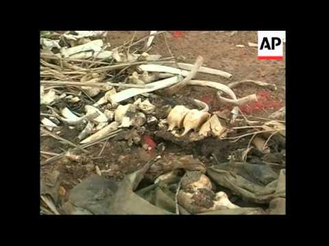 Sudan People's Liberation Movement/Army (SPLM/A) video 2