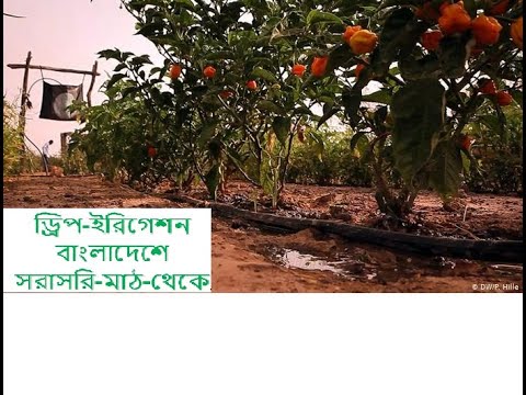 Drip Irrigation BD Ltd.