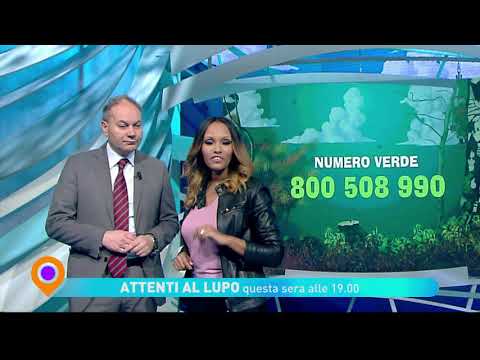 "Attenti al lupo" - "Pensioni" martedì 28 gennaio ore 19 su Tv2000